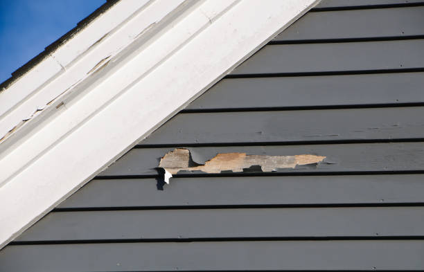 Best Siding Replacement  in USA